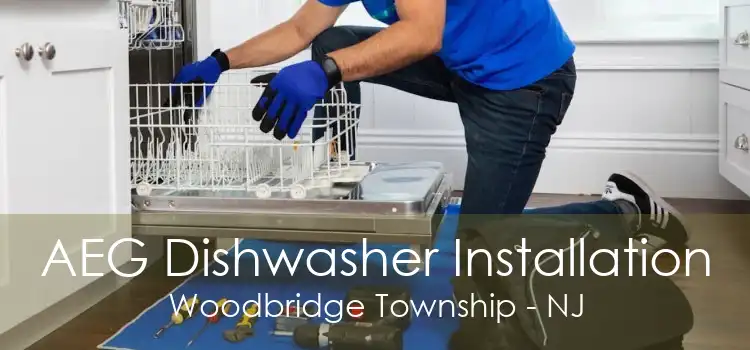 AEG Dishwasher Installation Woodbridge Township - NJ