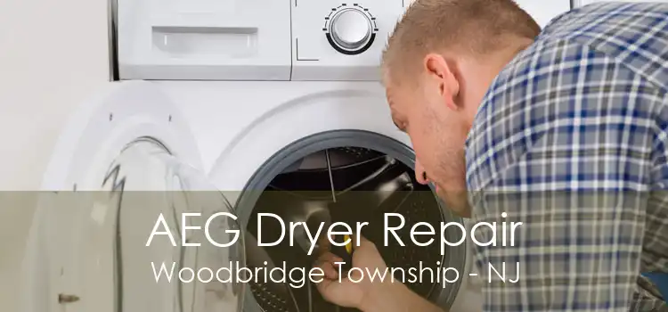 AEG Dryer Repair Woodbridge Township - NJ