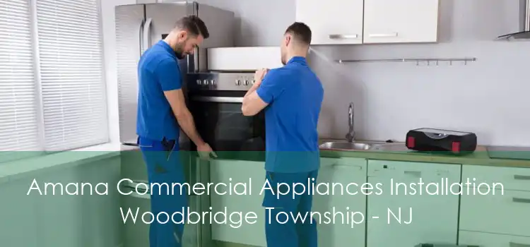Amana Commercial Appliances Installation Woodbridge Township - NJ