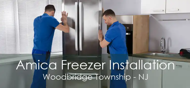 Amica Freezer Installation Woodbridge Township - NJ