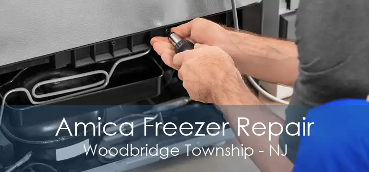 Amica Freezer Repair Woodbridge Township - NJ