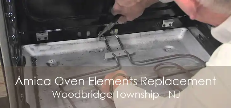 Amica Oven Elements Replacement Woodbridge Township - NJ