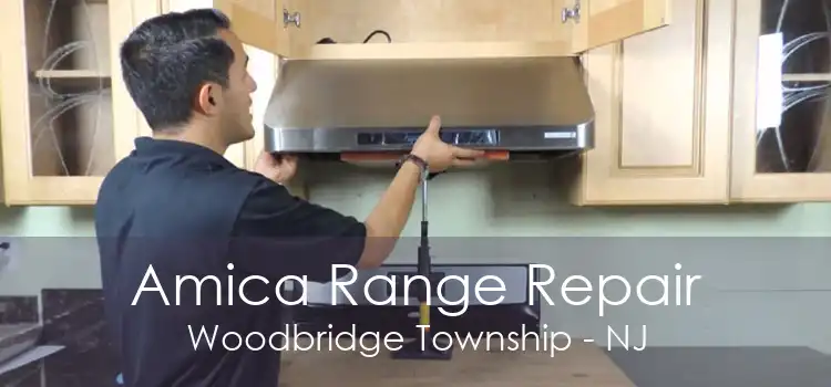 Amica Range Repair Woodbridge Township - NJ