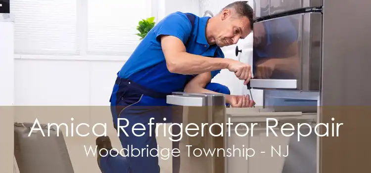 Amica Refrigerator Repair Woodbridge Township - NJ