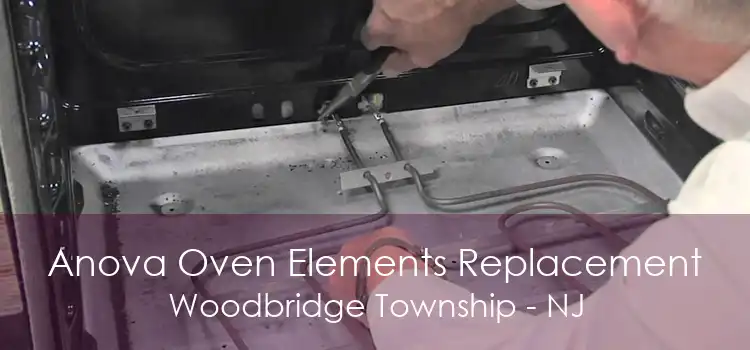 Anova Oven Elements Replacement Woodbridge Township - NJ