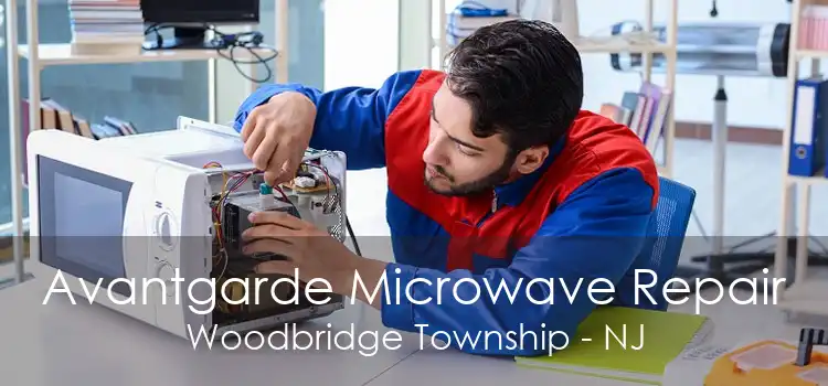 Avantgarde Microwave Repair Woodbridge Township - NJ