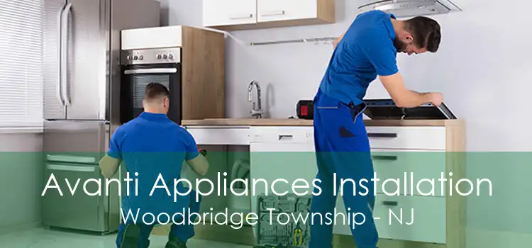 Avanti Appliances Installation Woodbridge Township - NJ