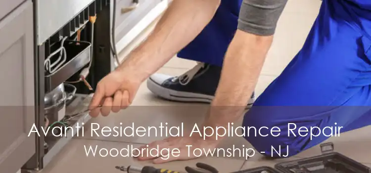 Avanti Residential Appliance Repair Woodbridge Township - NJ