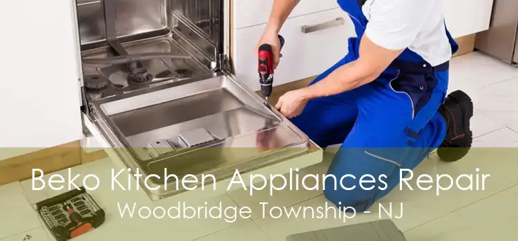 Beko Kitchen Appliances Repair Woodbridge Township - NJ
