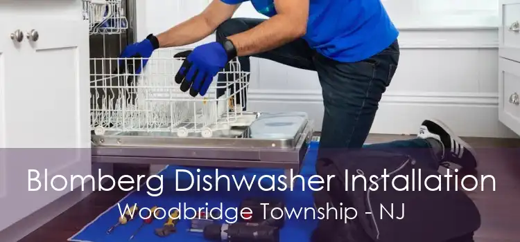 Blomberg Dishwasher Installation Woodbridge Township - NJ