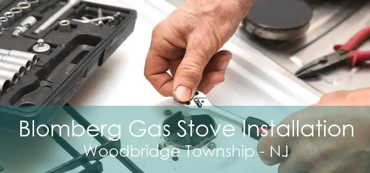 Blomberg Gas Stove Installation Woodbridge Township - NJ
