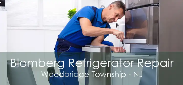 Blomberg Refrigerator Repair Woodbridge Township - NJ