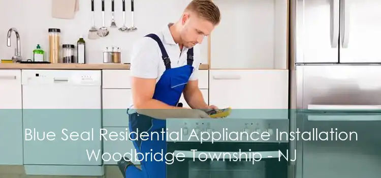 Blue Seal Residential Appliance Installation Woodbridge Township - NJ