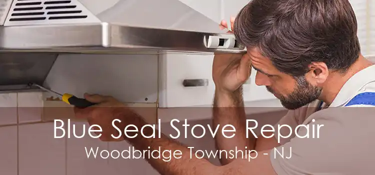 Blue Seal Stove Repair Woodbridge Township - NJ