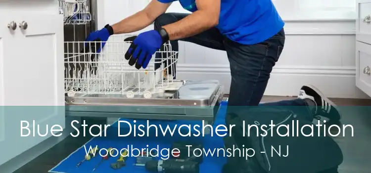 Blue Star Dishwasher Installation Woodbridge Township - NJ