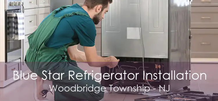 Blue Star Refrigerator Installation Woodbridge Township - NJ