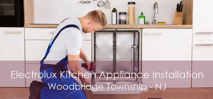 Electrolux Kitchen Appliance Installation Woodbridge Township - NJ