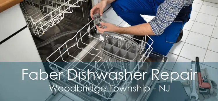 Faber Dishwasher Repair Woodbridge Township - NJ