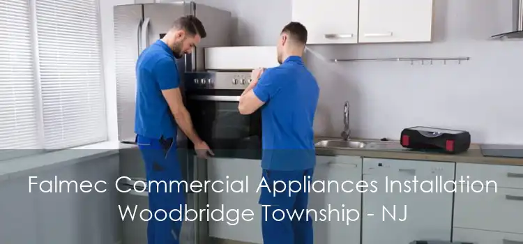 Falmec Commercial Appliances Installation Woodbridge Township - NJ
