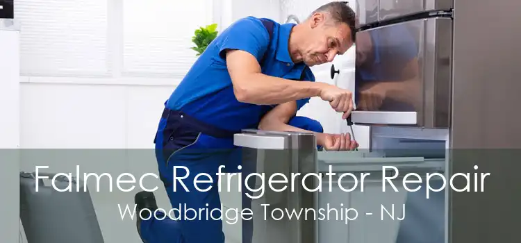 Falmec Refrigerator Repair Woodbridge Township - NJ