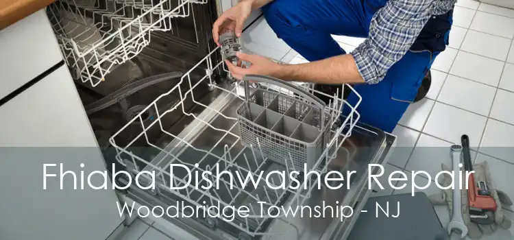 Fhiaba Dishwasher Repair Woodbridge Township - NJ