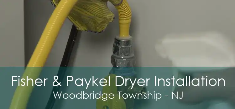 Fisher & Paykel Dryer Installation Woodbridge Township - NJ