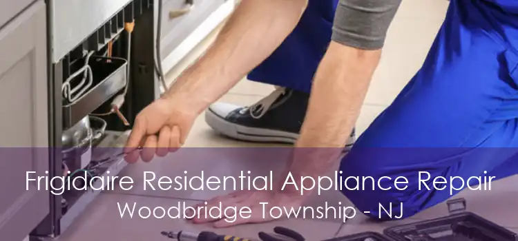 Frigidaire Residential Appliance Repair Woodbridge Township - NJ