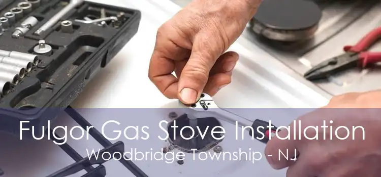 Fulgor Gas Stove Installation Woodbridge Township - NJ