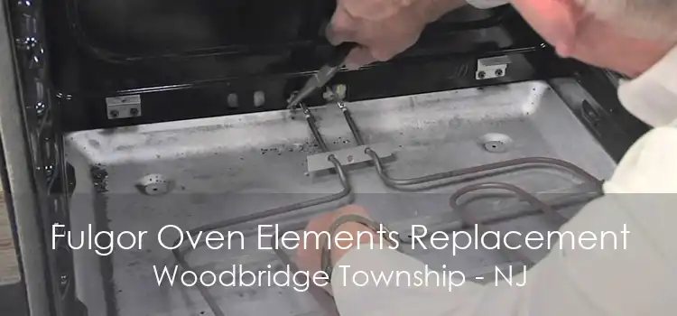 Fulgor Oven Elements Replacement Woodbridge Township - NJ