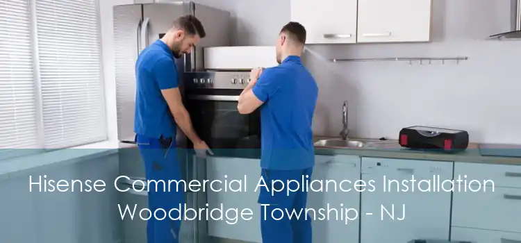 Hisense Commercial Appliances Installation Woodbridge Township - NJ