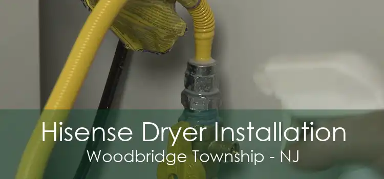 Hisense Dryer Installation Woodbridge Township - NJ