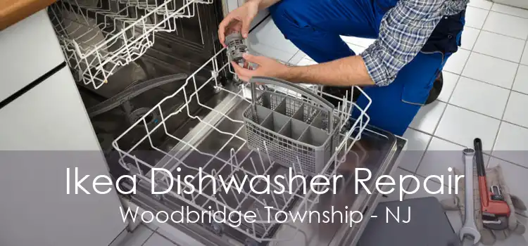 Ikea Dishwasher Repair Woodbridge Township - NJ
