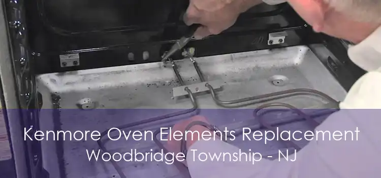 Kenmore Oven Elements Replacement Woodbridge Township - NJ