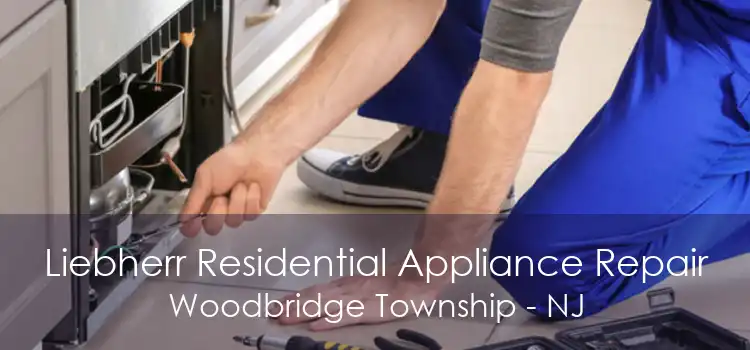 Liebherr Residential Appliance Repair Woodbridge Township - NJ