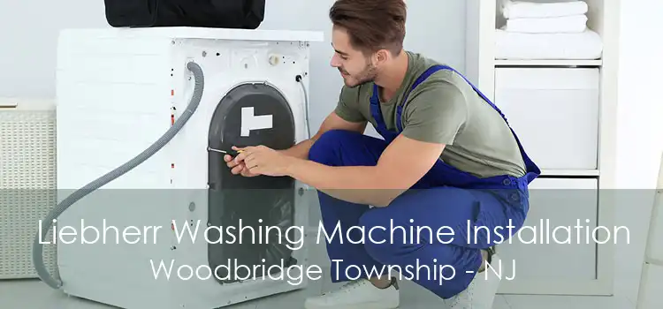 Liebherr Washing Machine Installation Woodbridge Township - NJ