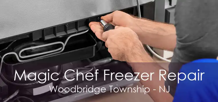 Magic Chef Freezer Repair Woodbridge Township - NJ