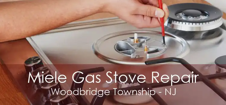 Miele Gas Stove Repair Woodbridge Township - NJ
