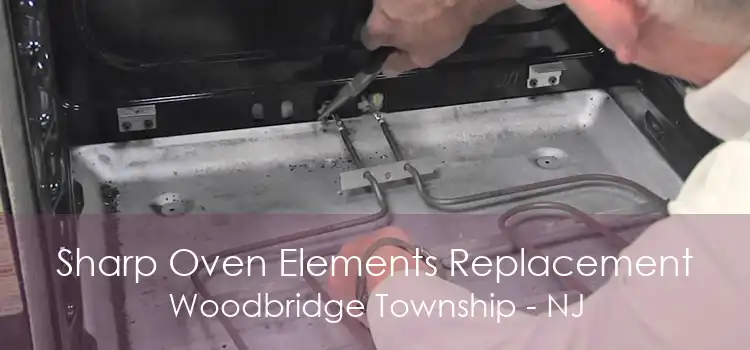 Sharp Oven Elements Replacement Woodbridge Township - NJ