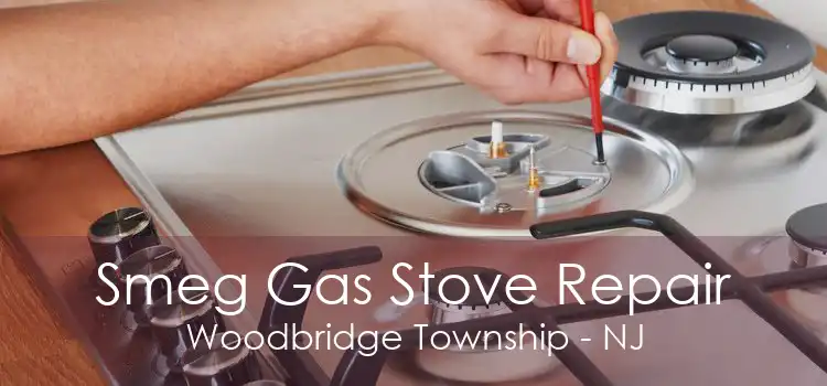 Smeg Gas Stove Repair Woodbridge Township - NJ