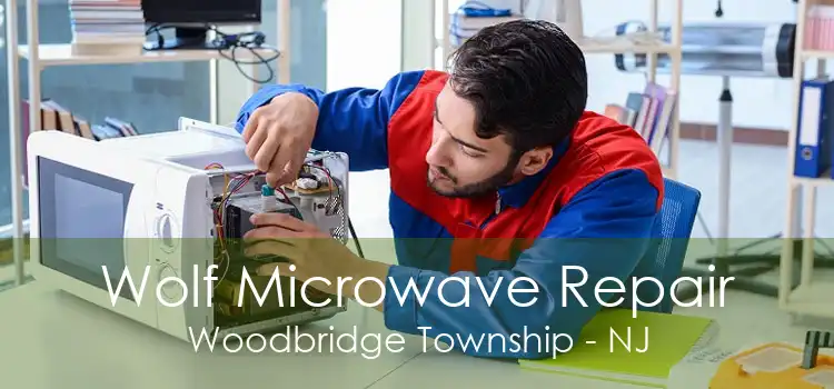 Wolf Microwave Repair Woodbridge Township - NJ