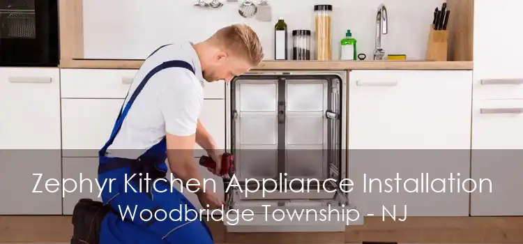 Zephyr Kitchen Appliance Installation Woodbridge Township - NJ